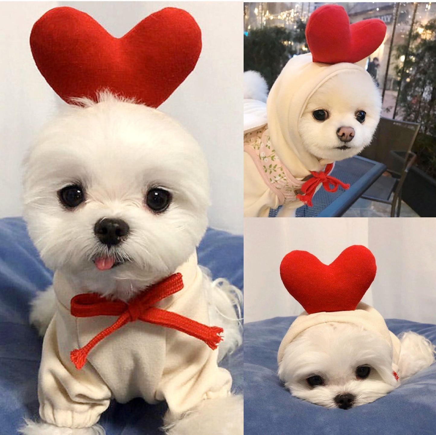 Autumn And Winter Sweatshirt Fleece Change Small Medium-Sized Dogs Cats Pets Teddy Fighting Clothes Supplies